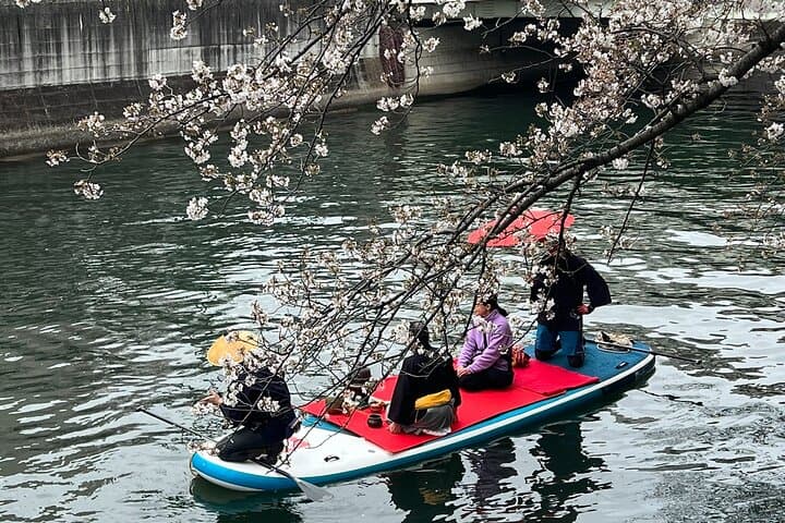 Cherry Blossom Viewing from a Boat: Tour in Yokohama Minato Mirai — photo 4