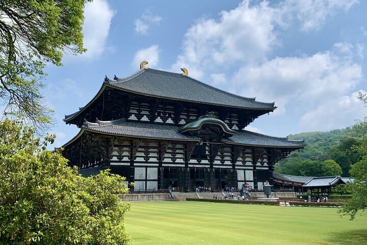 Nara With a Licensed Guide — photo 3