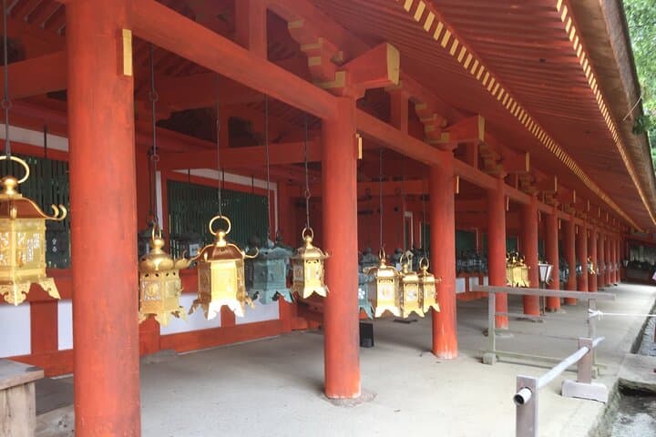Nara With a Licensed Guide — photo 6