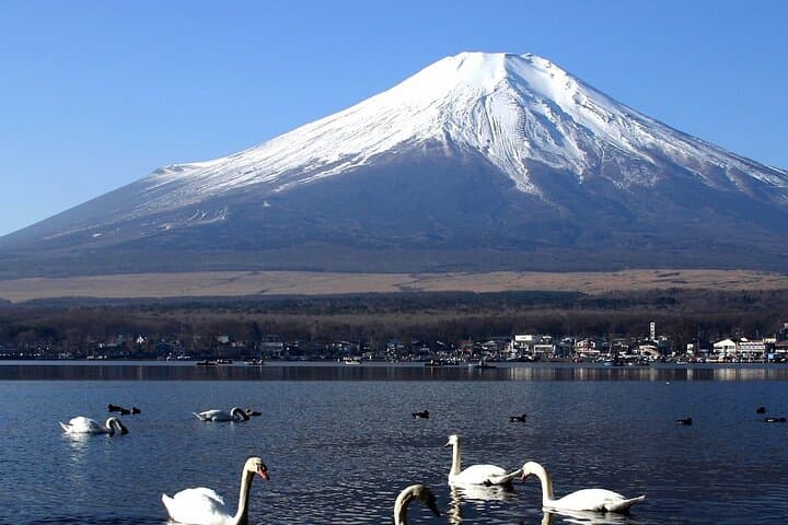 Tokyo To Mount Fuji Private English Guided Day Tour — photo 7