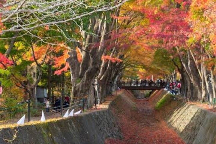 Tokyo To Mount Fuji Private English Guided Day Tour — photo 11