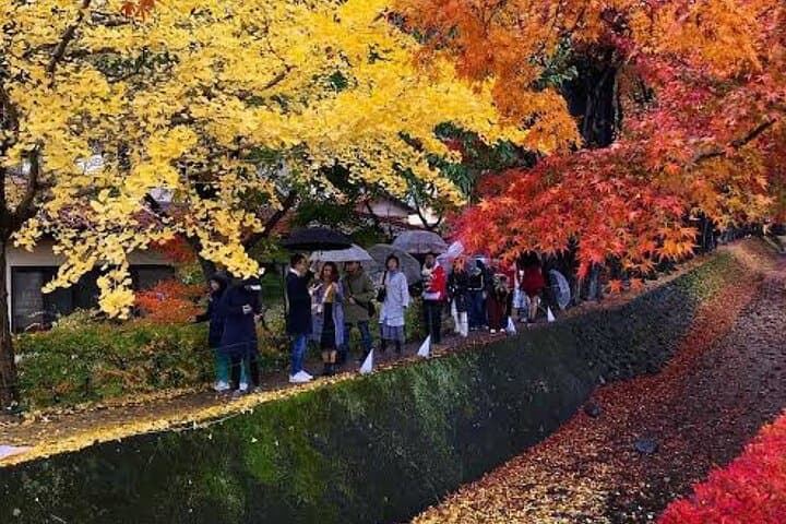 Tokyo To Mount Fuji Private English Guided Day Tour — photo 12