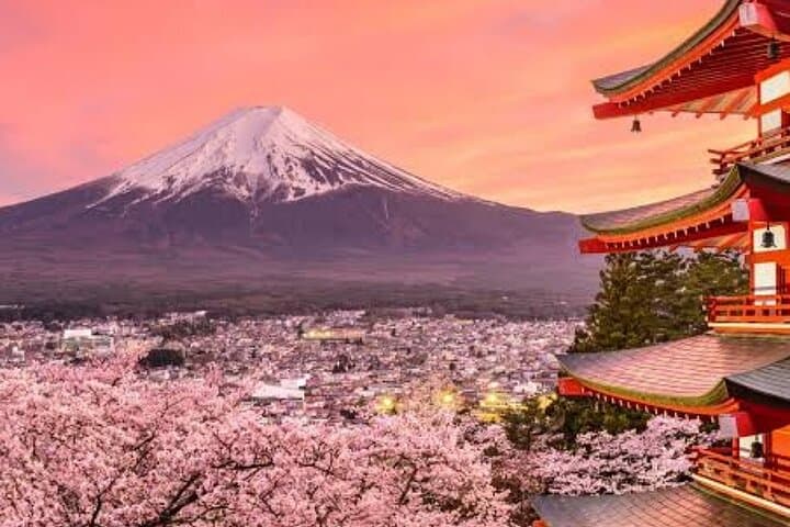 Tokyo To Mount Fuji Private English Guided Day Tour — photo 14