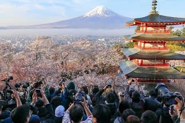 Tokyo To Mount Fuji Private English Guided Day Tour — photo 15