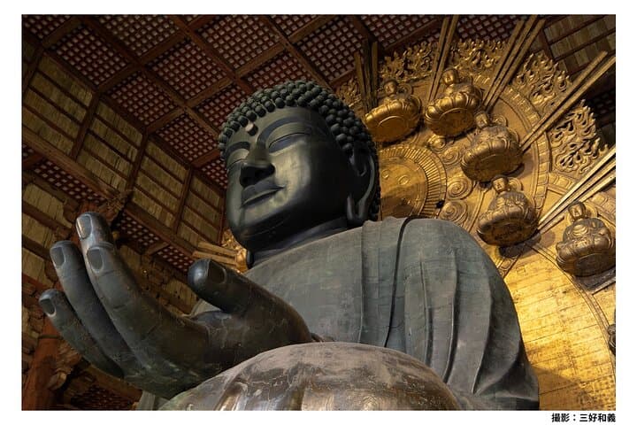 Nara Afternoon Tour from Kyoto or Osaka — photo 2