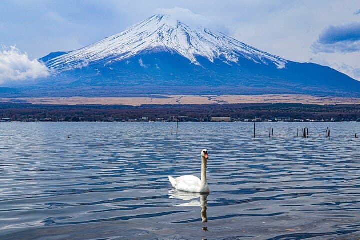 Mount Fuji Customize Private Day Trip with Driver From Tokyo. — photo 1