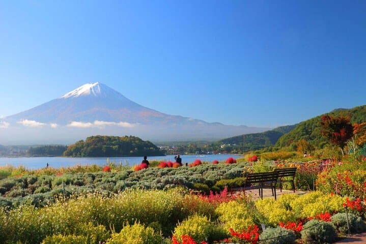 Mount Fuji Customize Private Day Trip with Driver From Tokyo. — photo 4