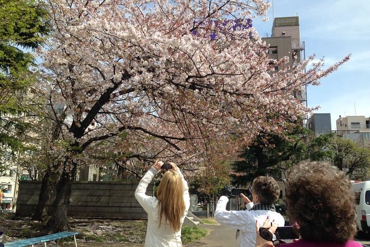Discover Tokyo Personalized Private 6 Hour Adventure — photo 12