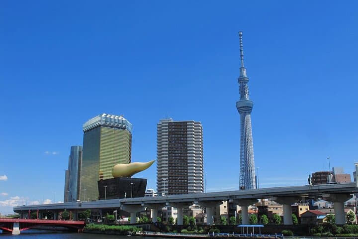 Discover Tokyo Personalized Private 6 Hour Adventure — photo 16