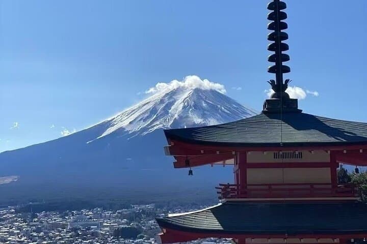 Private Car Tour to Mt. Fuji Lake Kawaguchiko — photo 1