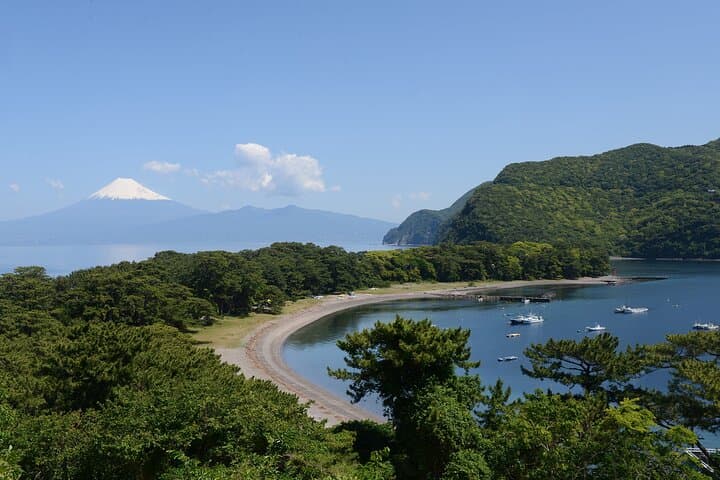 Fishing Tour Experience in Heda Numazu Shizuoka — photo 3