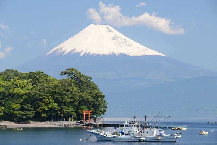 Fishing Tour Experience in Heda Numazu Shizuoka — photo 4