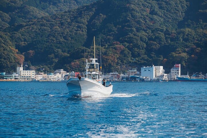Fishing Tour Experience in Heda Numazu Shizuoka — photo 13