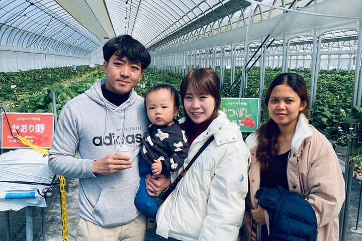 All You Can Eat Strawberry Picking in Izumisano Osaka — photo 2
