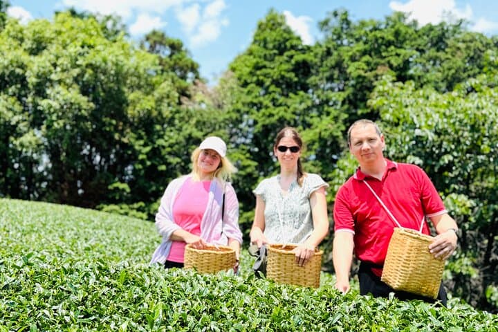 7 Hours Private Guided Tour Uji and Wazuka Matcha Farm — photo 2