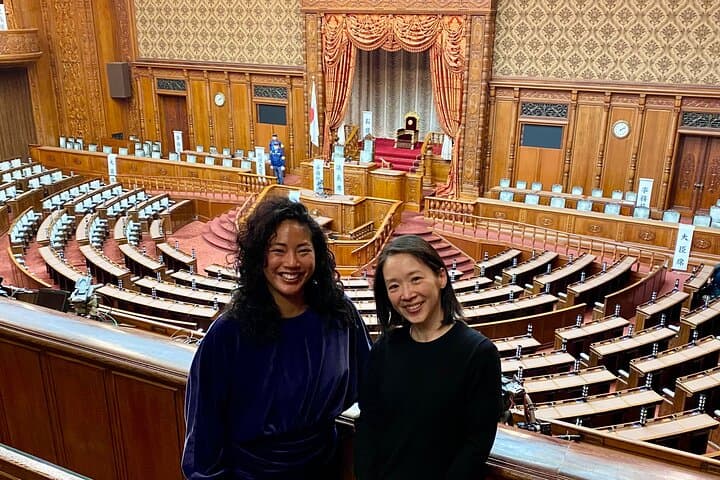 Tameike Exploring the Heart of Japanese Politics Tour — photo 11