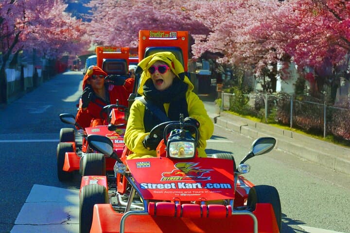Shibuya Official Street Go-Kart in Shibuya Annex — photo 3
