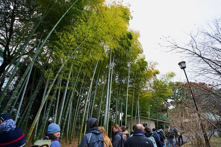 Tokyo Castle & Imperial PalaceーShogun Walking Tour — photo 11