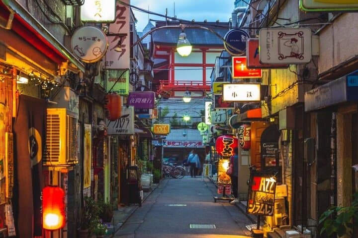 Private Tokyo Tour with English Speaking Guide — photo 7
