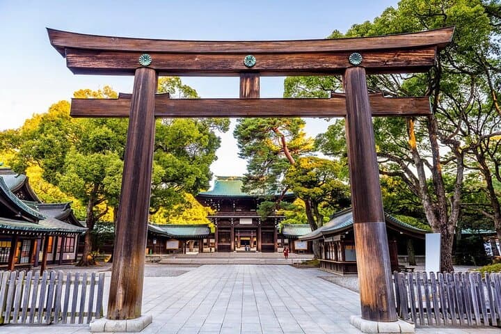 Private Tokyo Tour with English Speaking Guide — photo 9