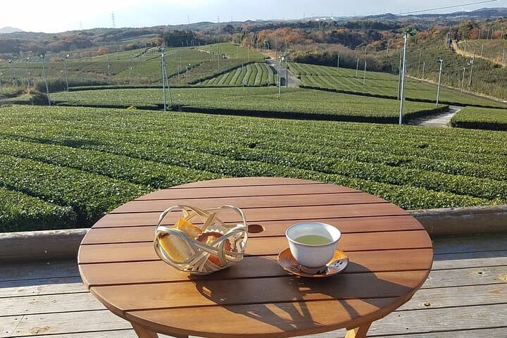 Fujikawachi Tea Fields Walking Tour and Learn Yamaguchi Tea — photo 5