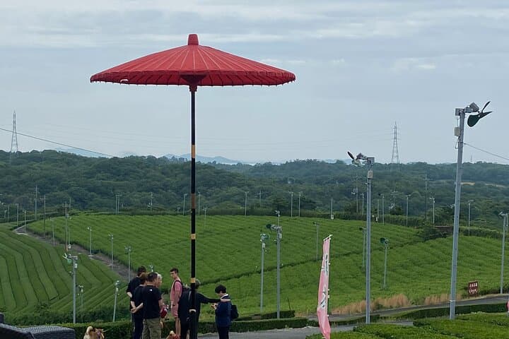 Fujikawachi Tea Fields Walking Tour and Learn Yamaguchi Tea — photo 6