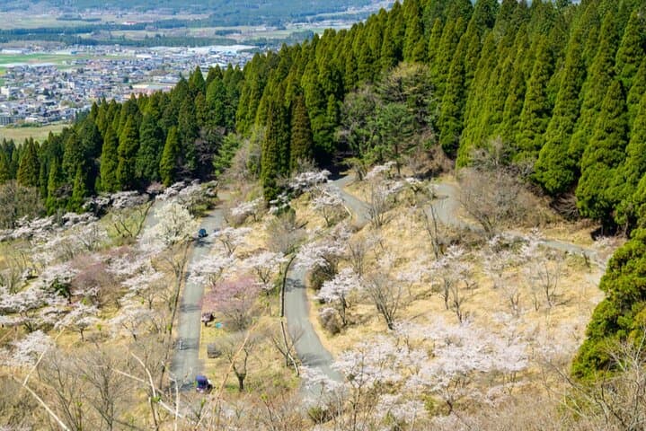 Day Tour to Miyazaki Takachiho Gorge & Shrine depart from Fukuoka — photo 8