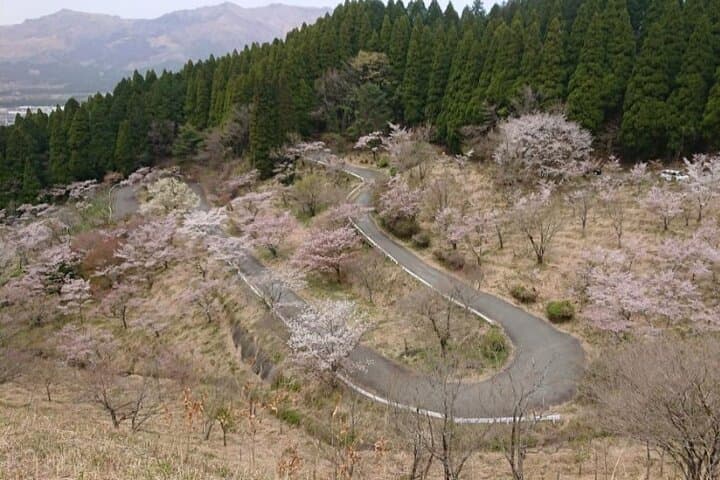 Day Tour to Miyazaki Takachiho Gorge & Shrine depart from Fukuoka — photo 9