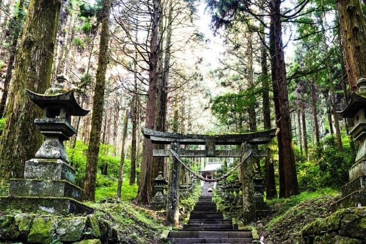 Day Tour to Miyazaki Takachiho Gorge & Shrine depart from Fukuoka — photo 4