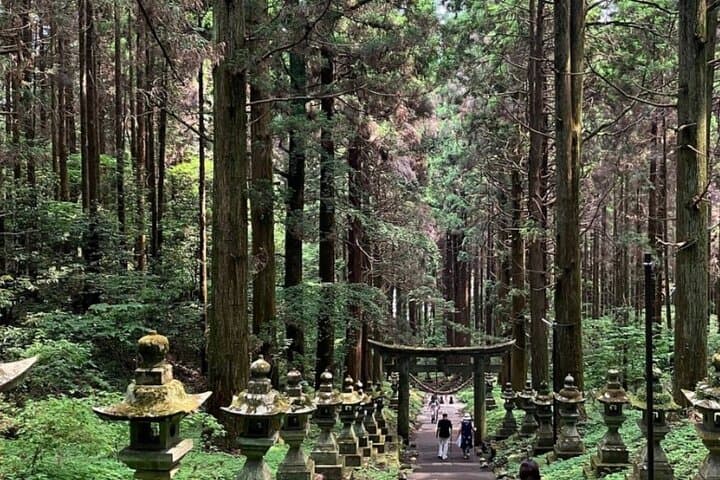 Day Tour to Miyazaki Takachiho Gorge & Shrine depart from Fukuoka — photo 11
