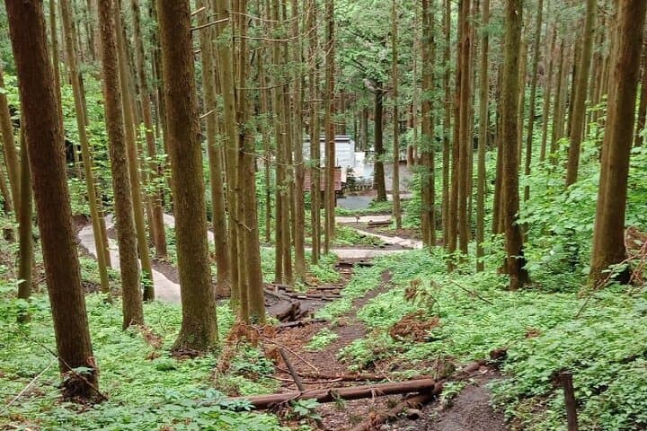 Day Tour to Miyazaki Takachiho Gorge & Shrine depart from Fukuoka — photo 10