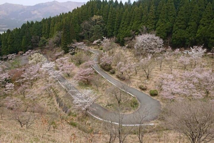 Takachiho Gorge & Kamishikimi Kumanoimasu Shrine Hiking Day Tour — photo 11