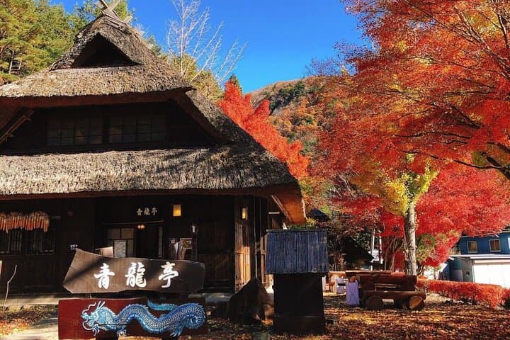 Mount Fuji & Fuji Shibazakura Festival One Day Trip From Tokyo — photo 13