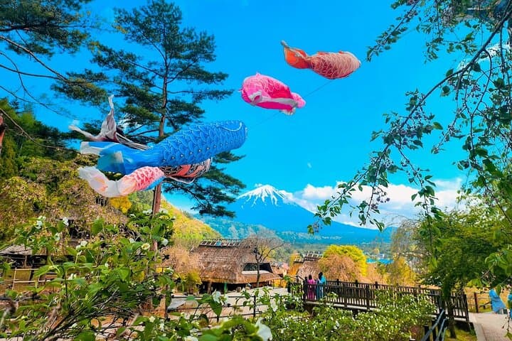 Mount Fuji & Fuji Shibazakura Festival One Day Trip From Tokyo — photo 19