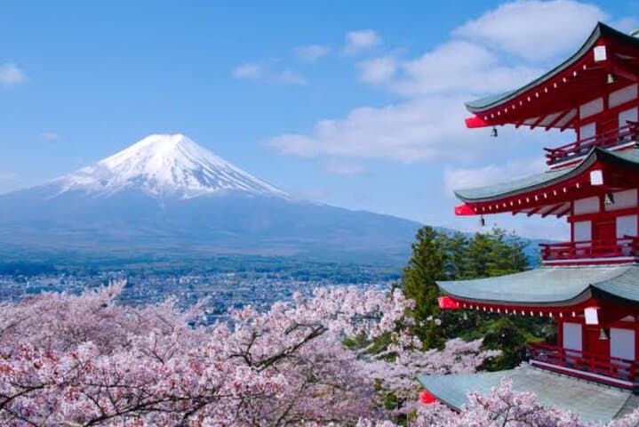 Mount Fuji Full Day Customizable Private Tour with English Guide — photo 2