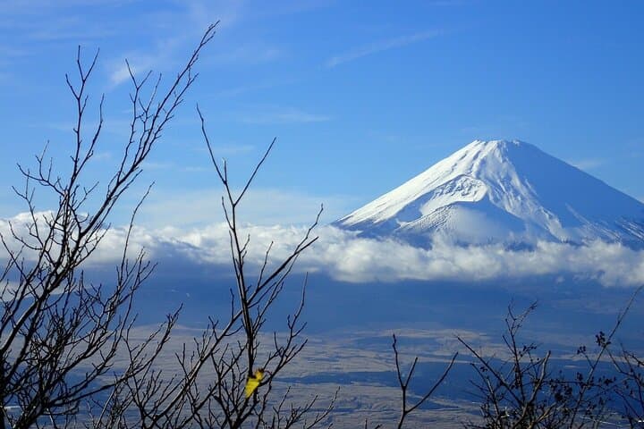 Mt. Fuji Private Customized Day Tour — photo 2
