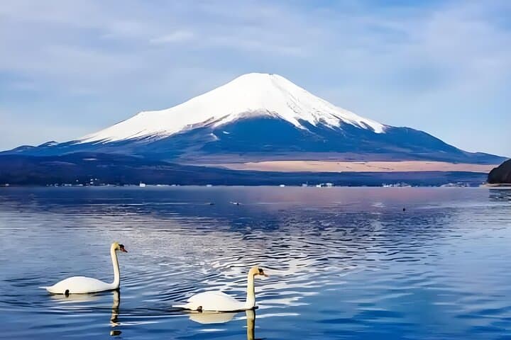 Mt Fuji Carpool Day Tour for 5 to 9 Tourists — photo 4