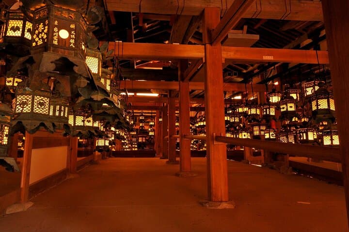 Nara Afternoon Tour from Kyoto or Osaka — photo 8