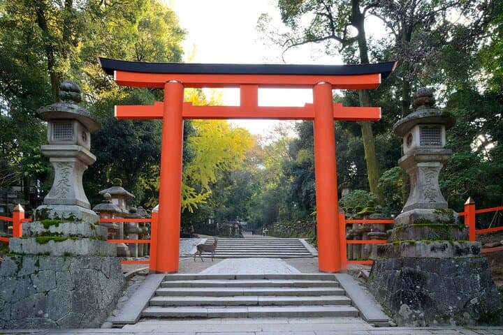 Nara Afternoon Tour from Kyoto or Osaka — photo 7