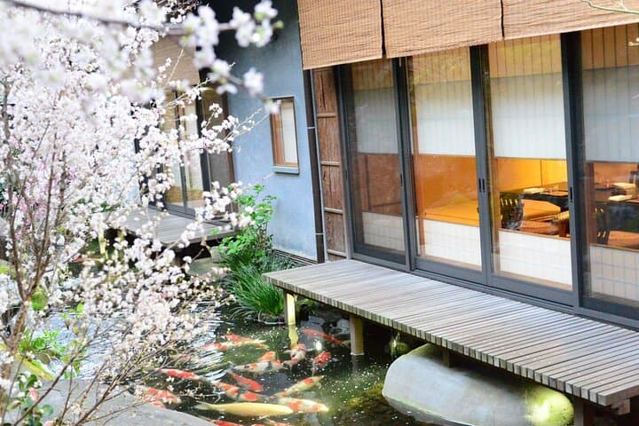 Cherry Blossom and Sakura Garden Dinner Tokyo Tour — photo 4