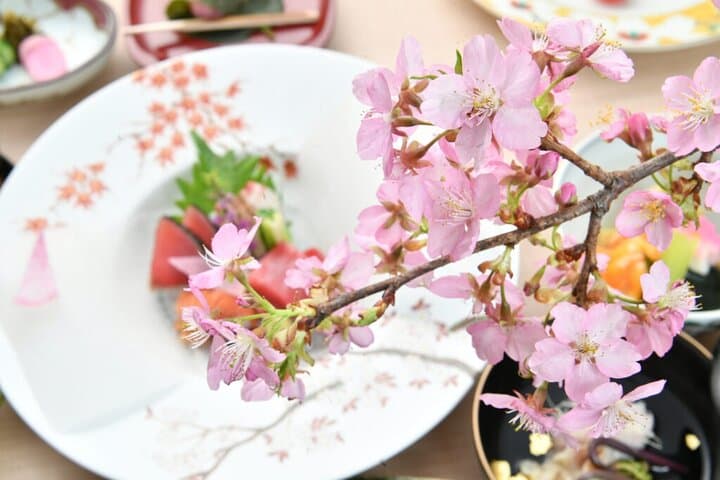 Cherry Blossom and Sakura Garden Dinner Tokyo Tour — photo 2