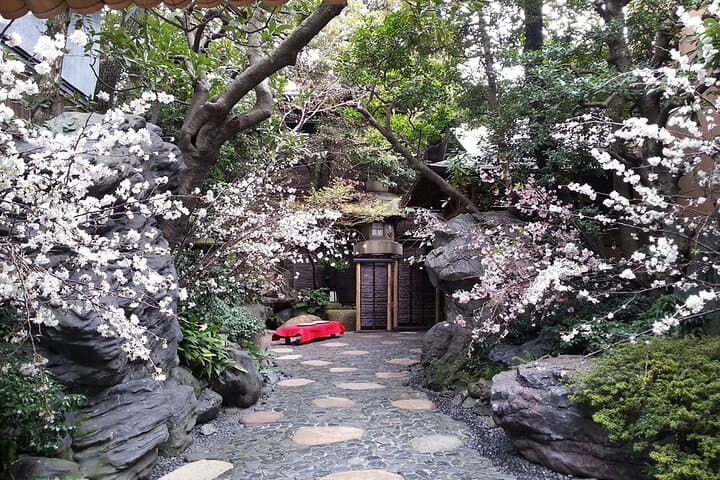 Cherry Blossom and Sakura Garden Dinner Tokyo Tour — photo 5