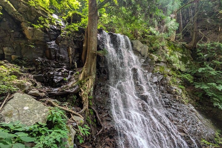 Lake Kawaguchi : Exclusive Private Customized Tour w/ Local Guide — photo 18