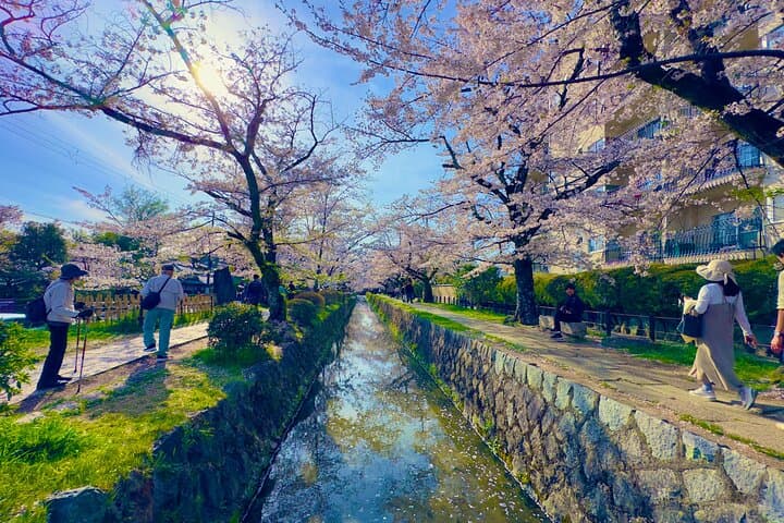 Kyoto Highlights & Hidden Gems in Nature (Private Van Eng-Guide) — photo 19