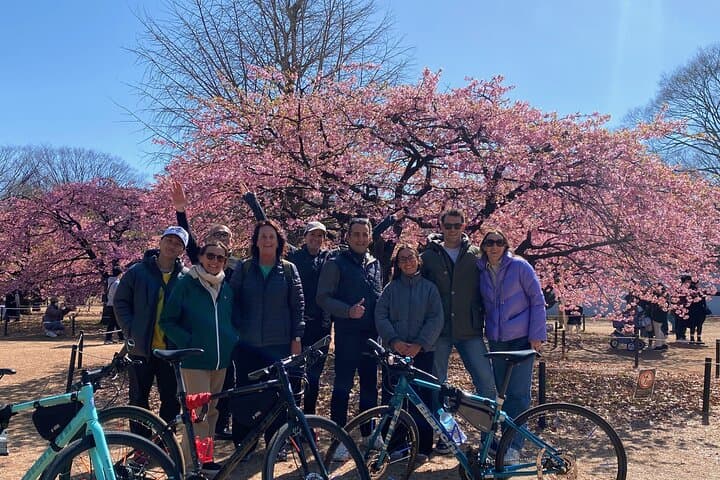 Tokyo: 3-Hour Bike/E-Bike Tour of the City's Highlights — photo 2