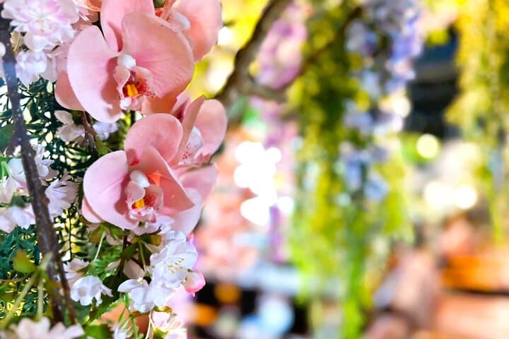 Cherry blossom & Japanese Sake Tasting in Shinjuku — photo 16