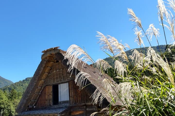 [One-day bus tour departing from Kanazawa Station] Shirakawa-go/Takayama tour platinum route bus tour — photo 8