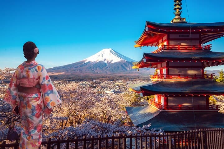 Mt Fuji Kawaguchi or Hakone customize private charter car service — photo 3