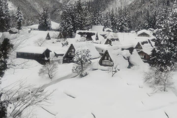 [One-day bus tour departing from Kanazawa Station] Shirakawa-go and Gokayama - Two World Heritage Villages Enjoyable Bus Tour — photo 19