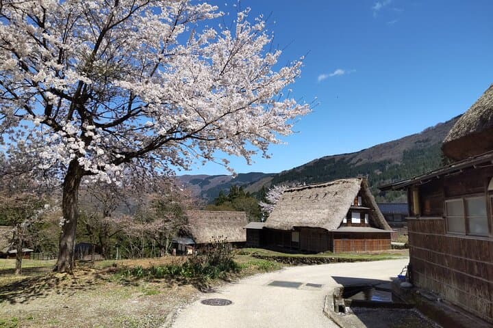 [One-day bus tour departing from Kanazawa Station] Shirakawa-go and Gokayama - Two World Heritage Villages Enjoyable Bus Tour — photo 7